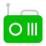 Electronic Accessories